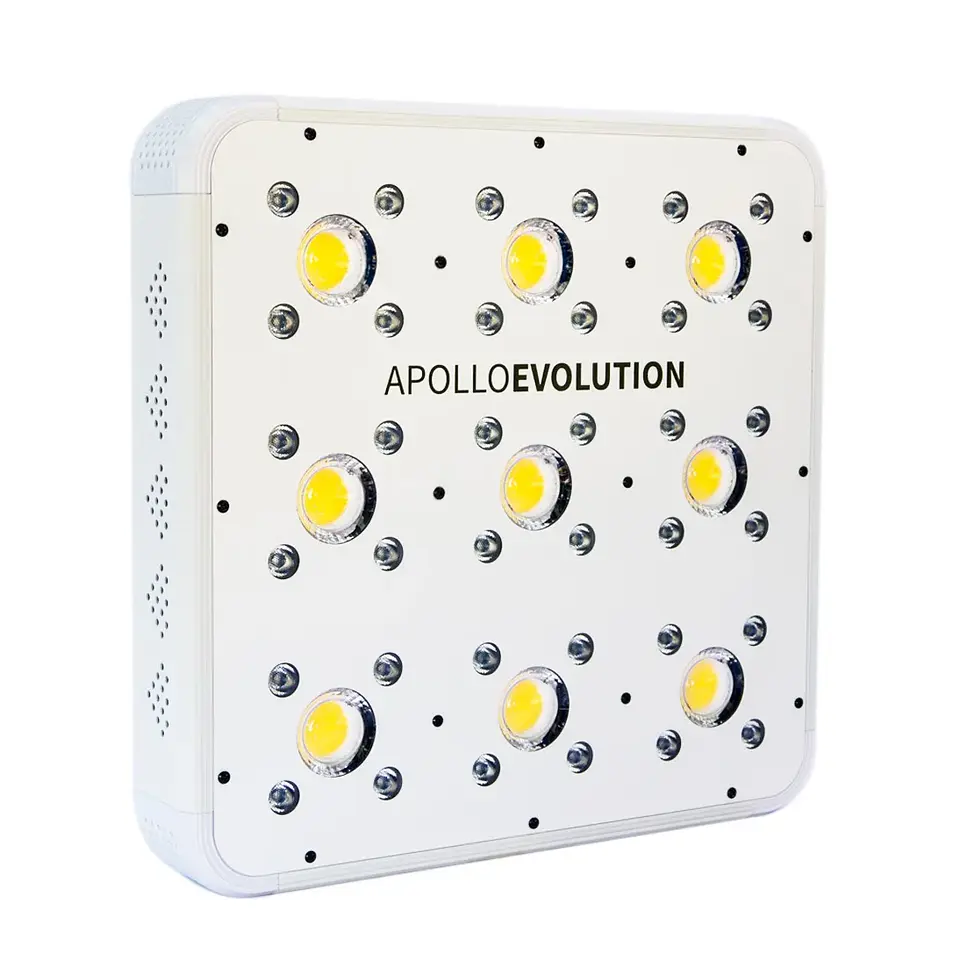 Apollo Evolution 9 280W-Delight 1