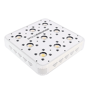 Apollo Evolution 9 280W-Delight