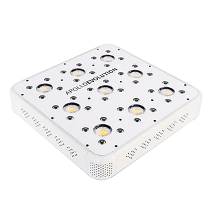 APOLLO EVOLUTION 9 280W-DELIGHT