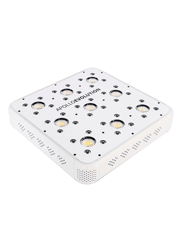 APOLLO EVOLUTION 9 280W-DELIGHT 2