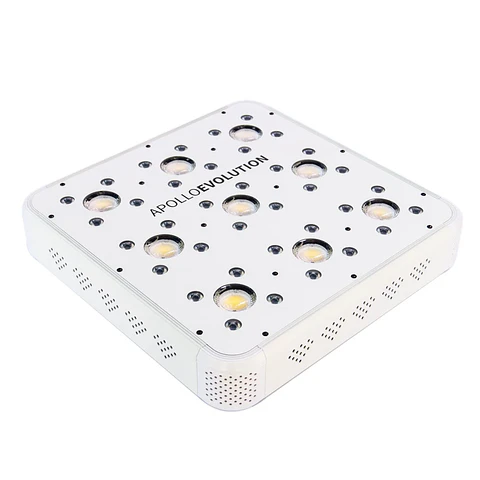 Apollo Evolution 9 280W-Delight