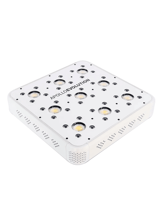 APOLLO EVOLUTION 9 280W-DELIGHT 2