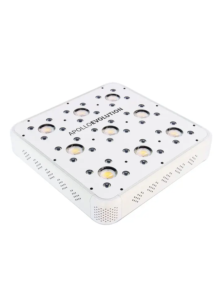 Apollo Evolution 9 280W-Delight 2