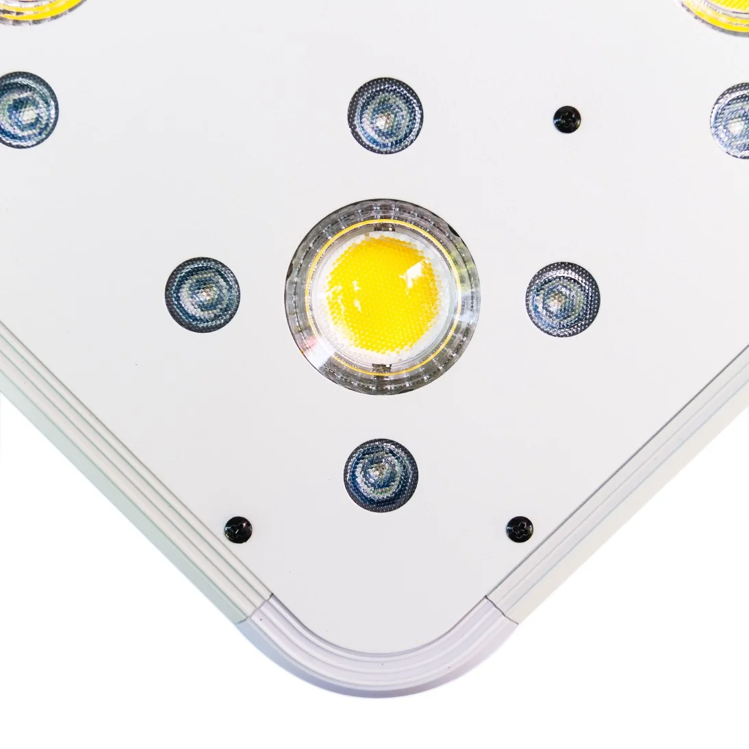 Apollo Evolution 9 280W-Delight 5