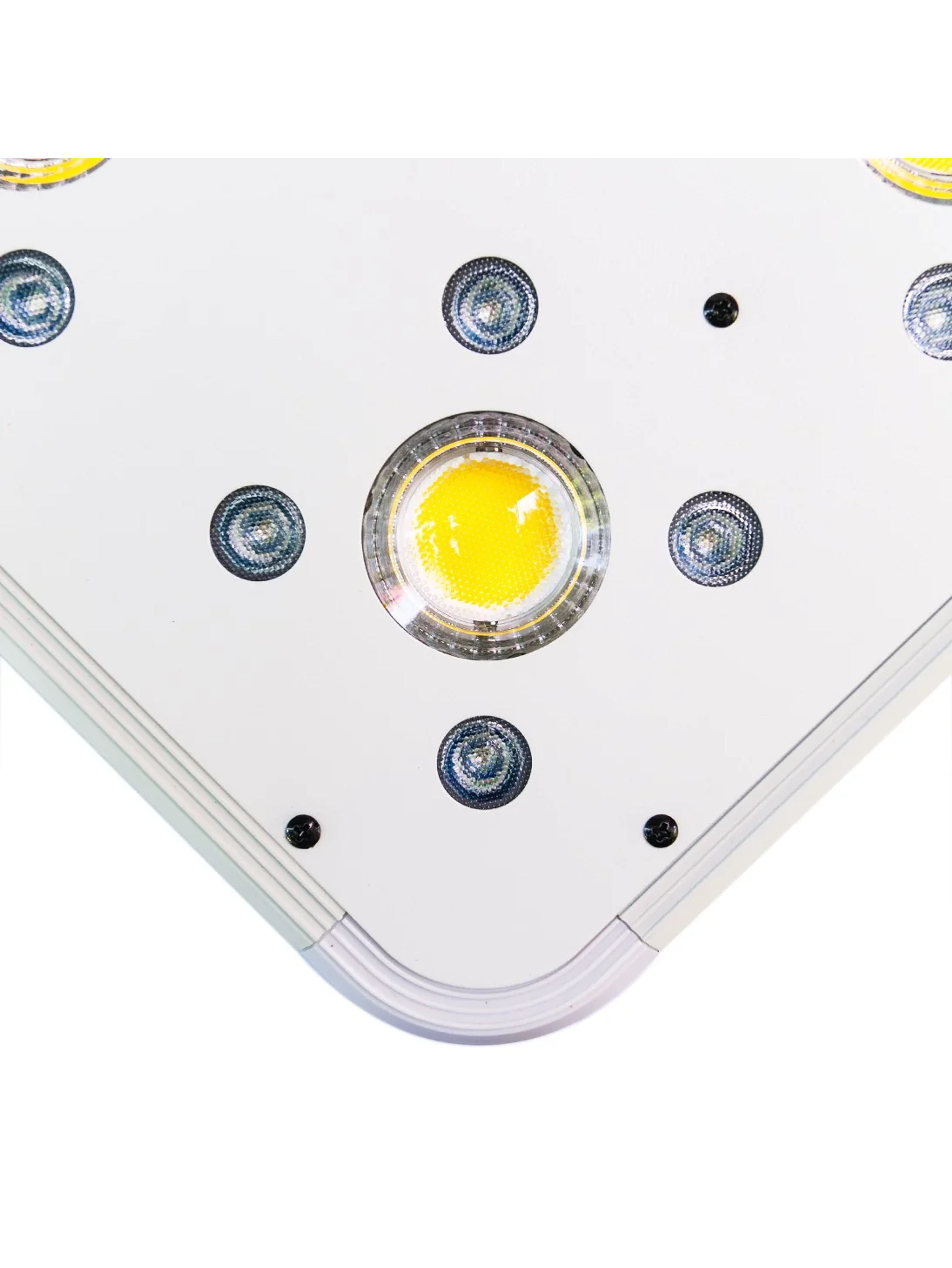 Apollo Evolution 9 280W-Delight 5