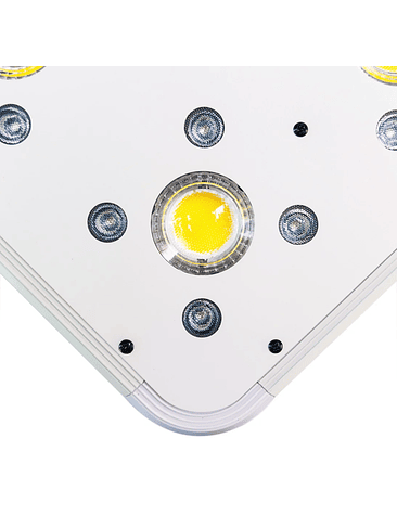 APOLLO EVOLUTION 9 280W-DELIGHT 5