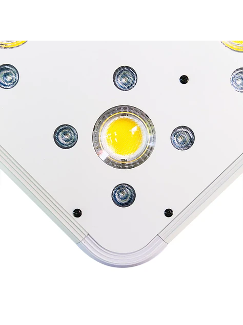 Apollo Evolution 9 280W-Delight 5
