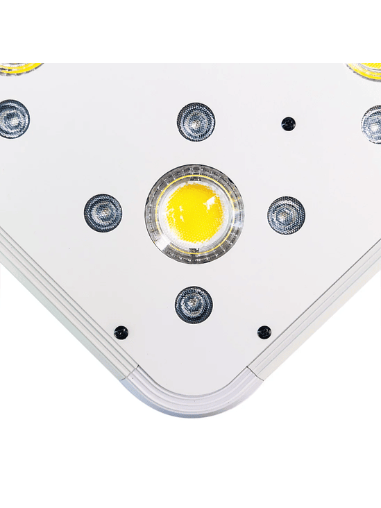 APOLLO EVOLUTION 9 280W-DELIGHT 5