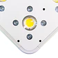 Apollo Evolution 9 280W-Delight - Miniatura 5