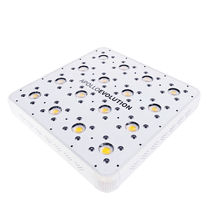 Apollo Evolution 16 480W-Delight