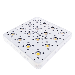 APOLLO EVOLUTION 16 480W-DELIGHT