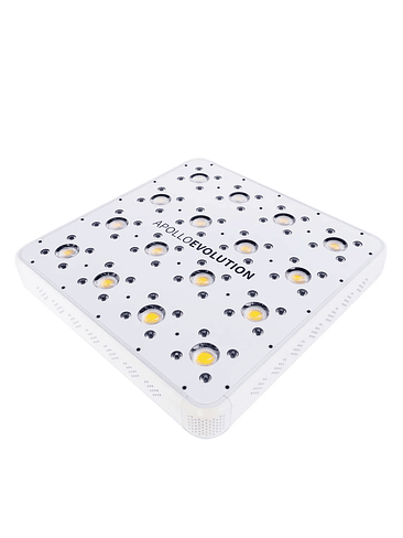 APOLLO EVOLUTION 16 480W-DELIGHT 1