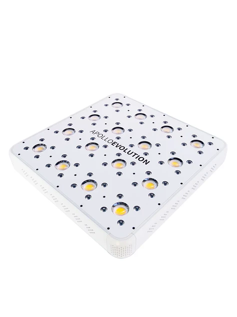 Apollo Evolution 16 480W-Delight 1