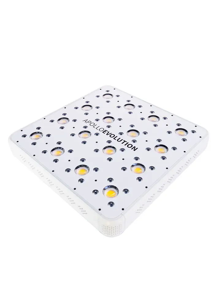 Apollo Evolution 16 480W-Delight 1