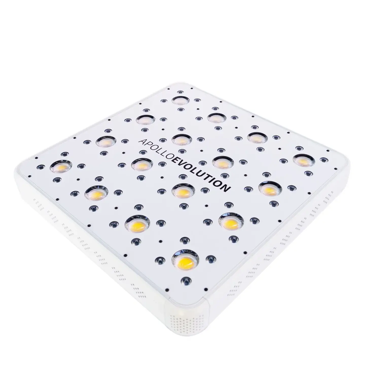 Apollo Evolution 16 480W-Delight 1