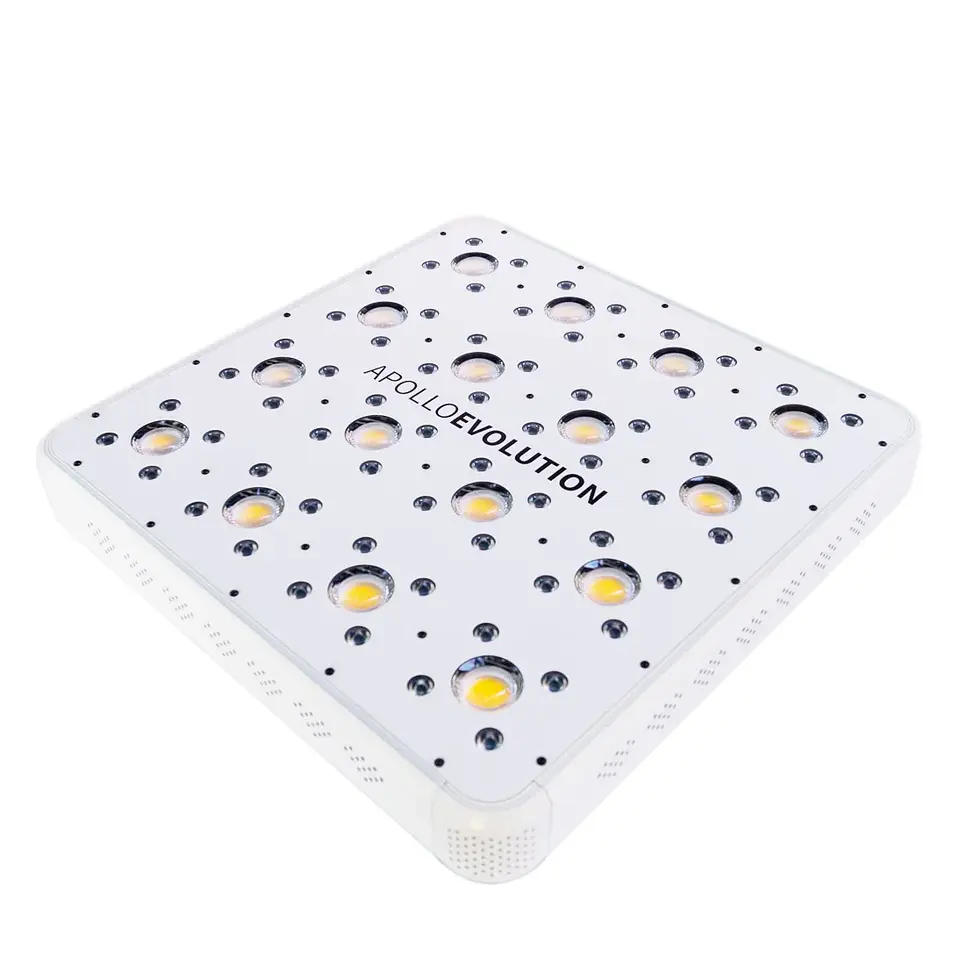 Apollo Evolution 16 480W-Delight 1