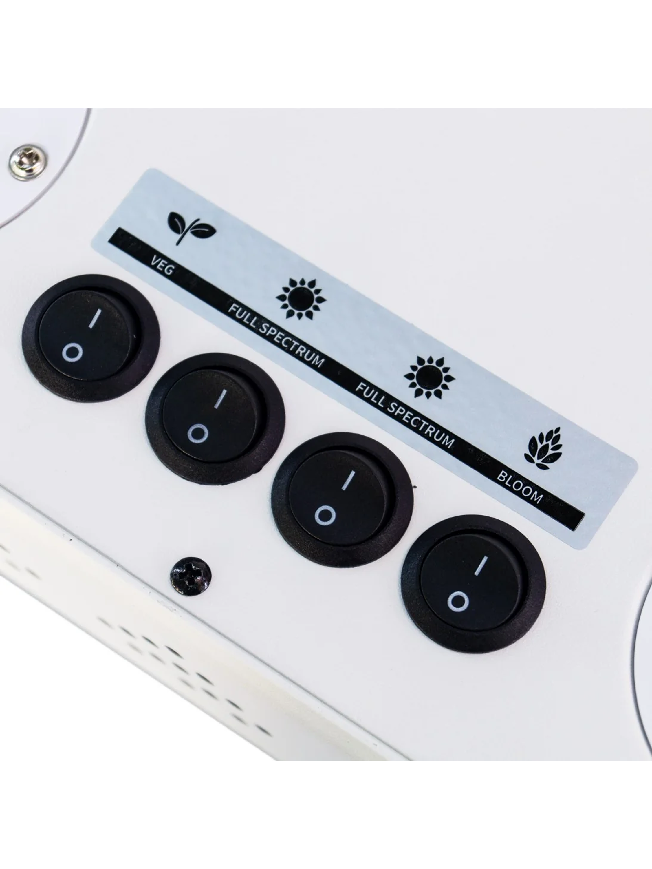 Apollo Evolution 16 480W-Delight 3