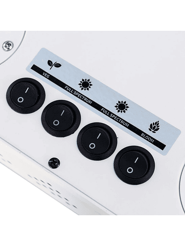 APOLLO EVOLUTION 16 480W-DELIGHT 3