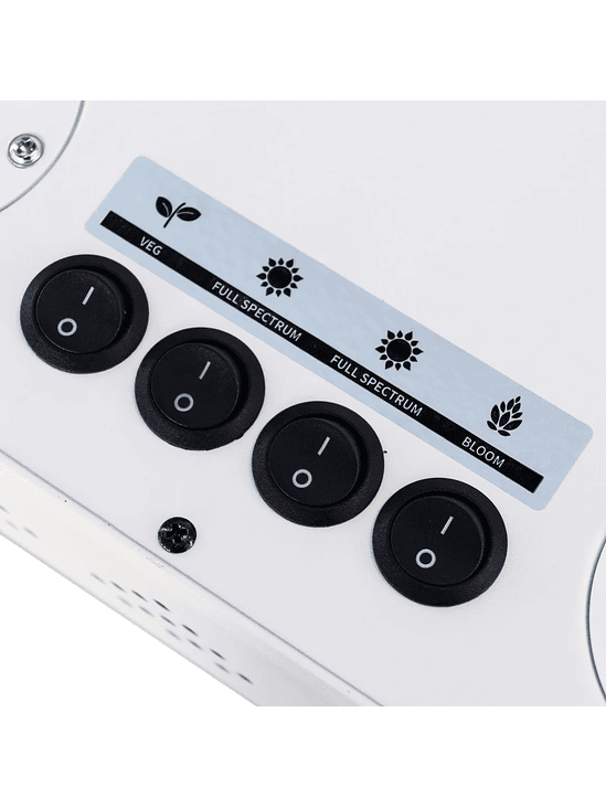 APOLLO EVOLUTION 16 480W-DELIGHT 3