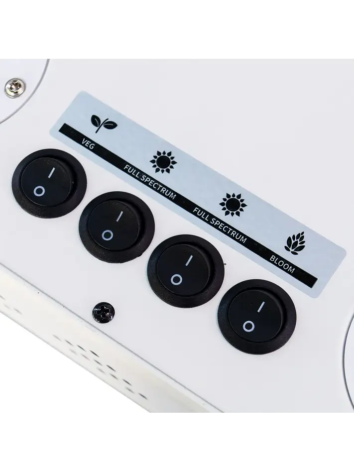 Apollo Evolution 16 480W-Delight 3