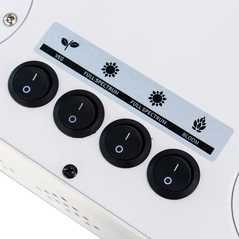Apollo Evolution 16 480W-Delight 3