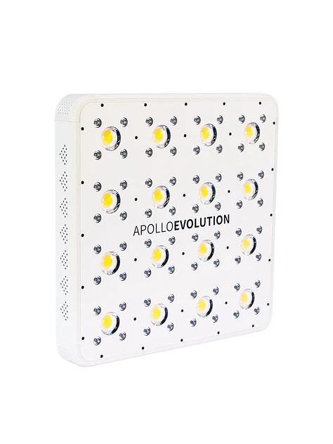 Apollo Evolution 16 480W-Delight 4