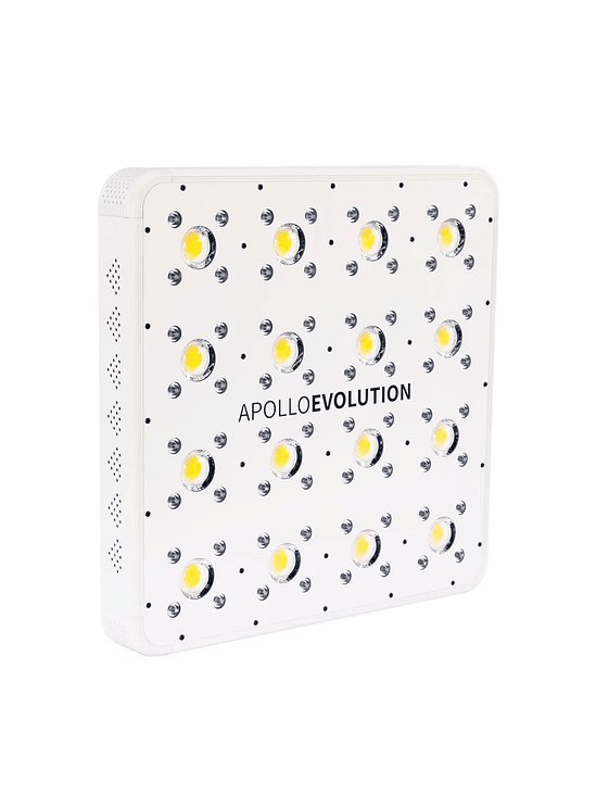 APOLLO EVOLUTION 16 480W-DELIGHT 4