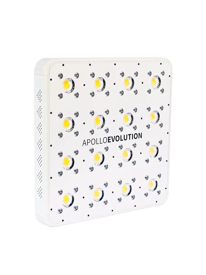 Apollo Evolution 16 480W-Delight 4