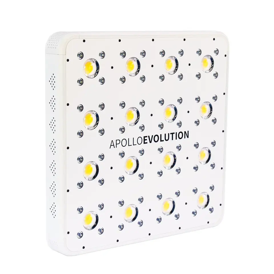 Apollo Evolution 16 480W-Delight 4
