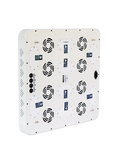 Apollo Evolution 16 480W-Delight 5