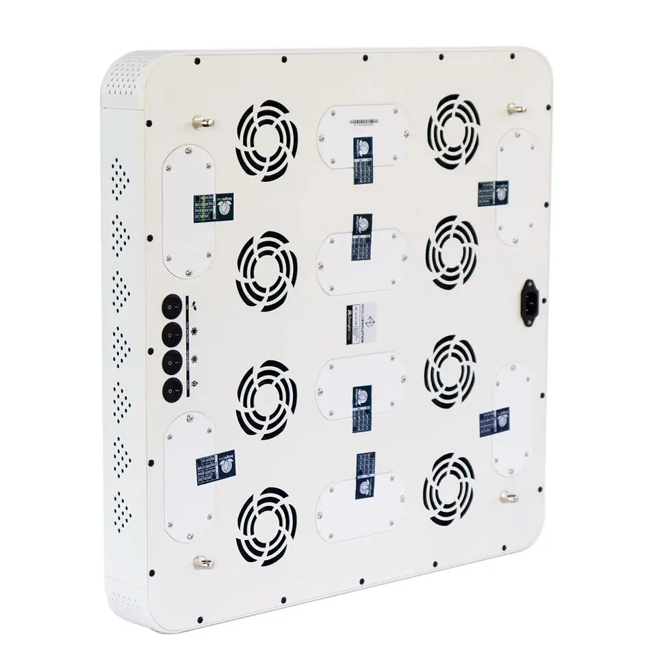 Apollo Evolution 16 480W-Delight 5
