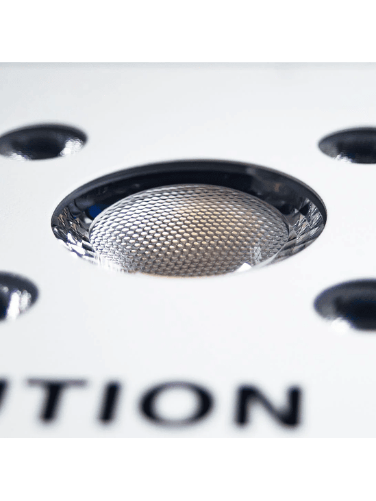 APOLLO EVOLUTION 16 480W-DELIGHT 6