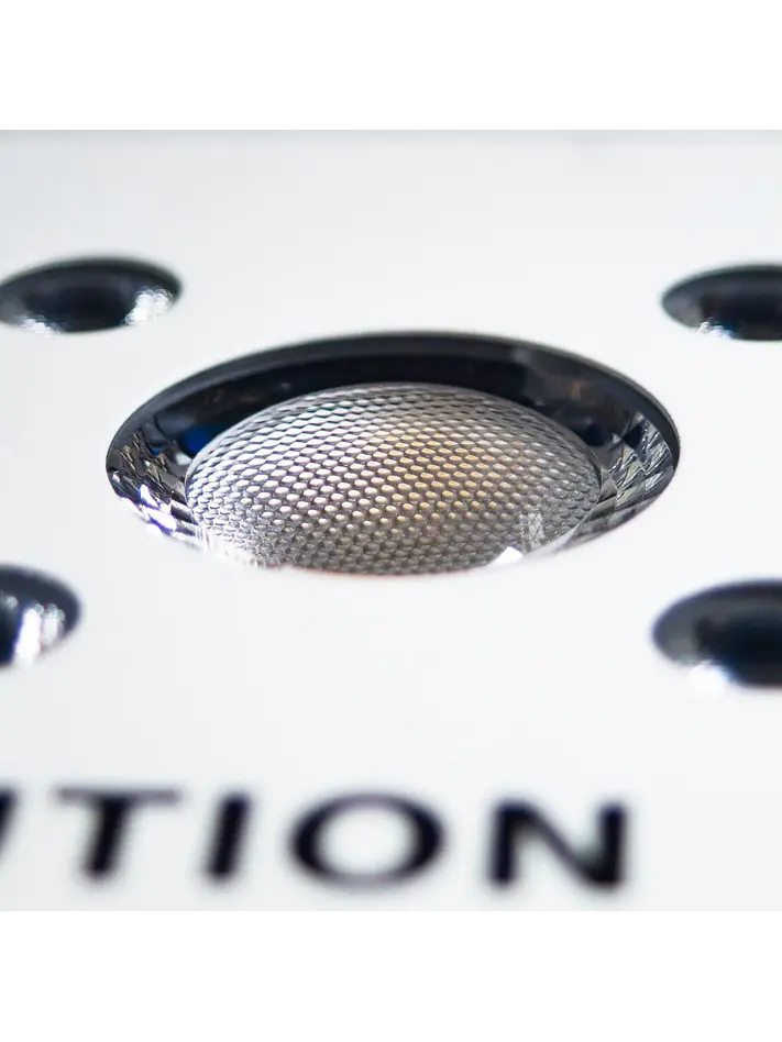Apollo Evolution 16 480W-Delight 6