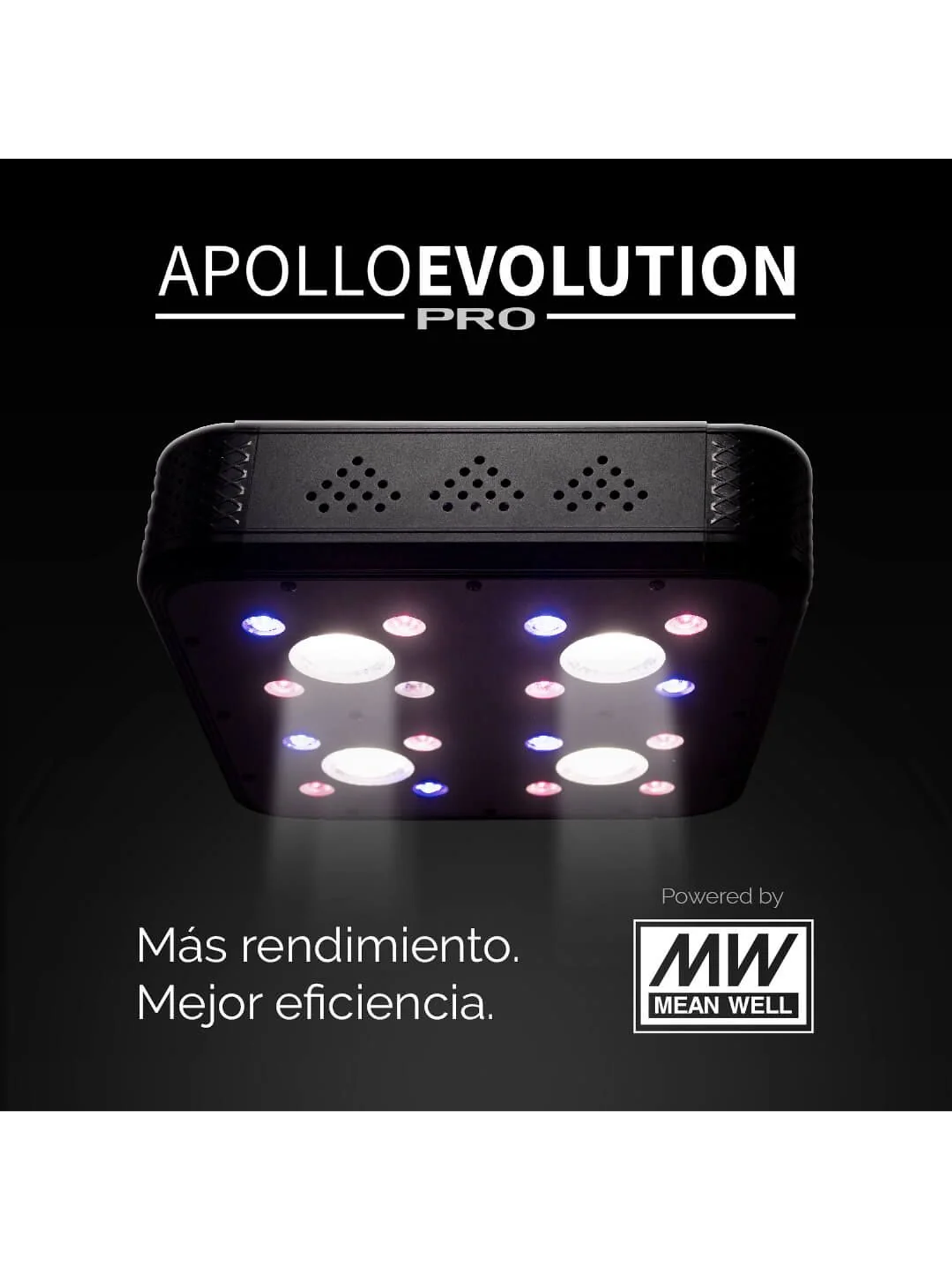 Apollo Evolution Pro 4 150W-Delight 3