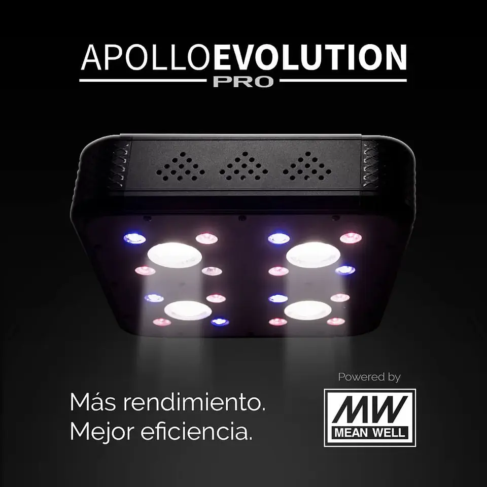 Apollo Evolution Pro 4 150W-Delight 3
