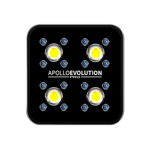 Apollo Evolution Pro 4 150W-Delight