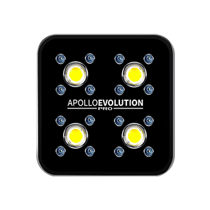 APOLLO EVOLUTION PRO 4 150W-DELIGHT