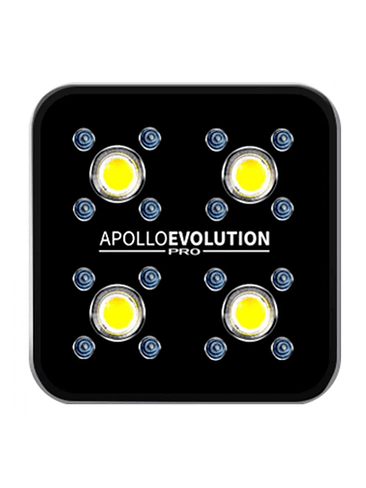 APOLLO EVOLUTION PRO 4 150W-DELIGHT 1