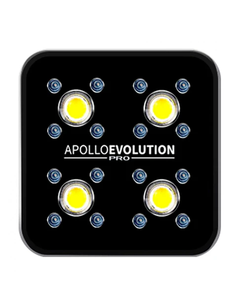 Apollo Evolution Pro 4 150W-Delight