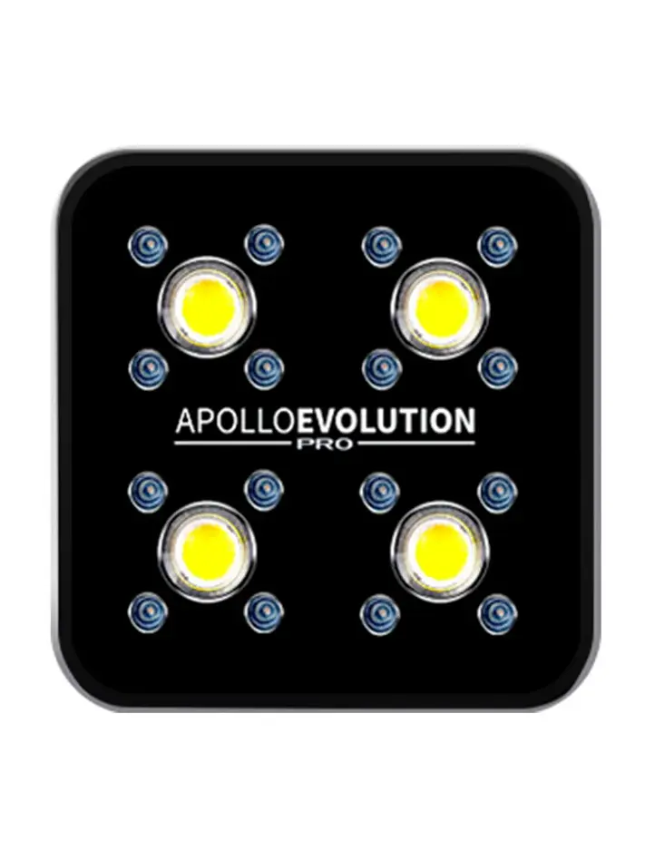 Apollo Evolution Pro 4 150W-Delight 1
