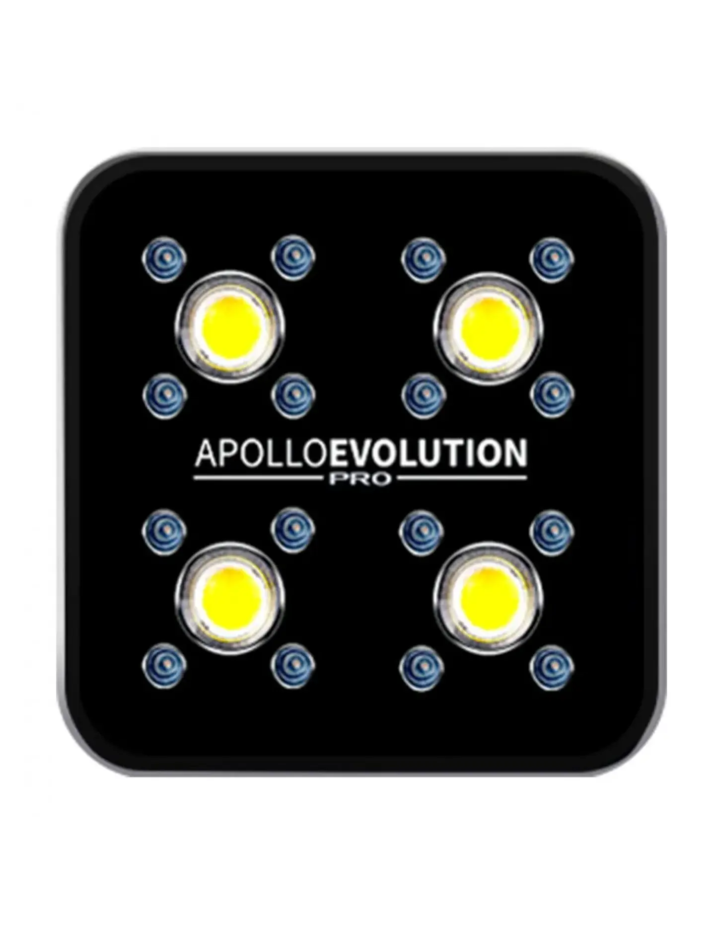 Apollo Evolution Pro 4 150W-Delight 1