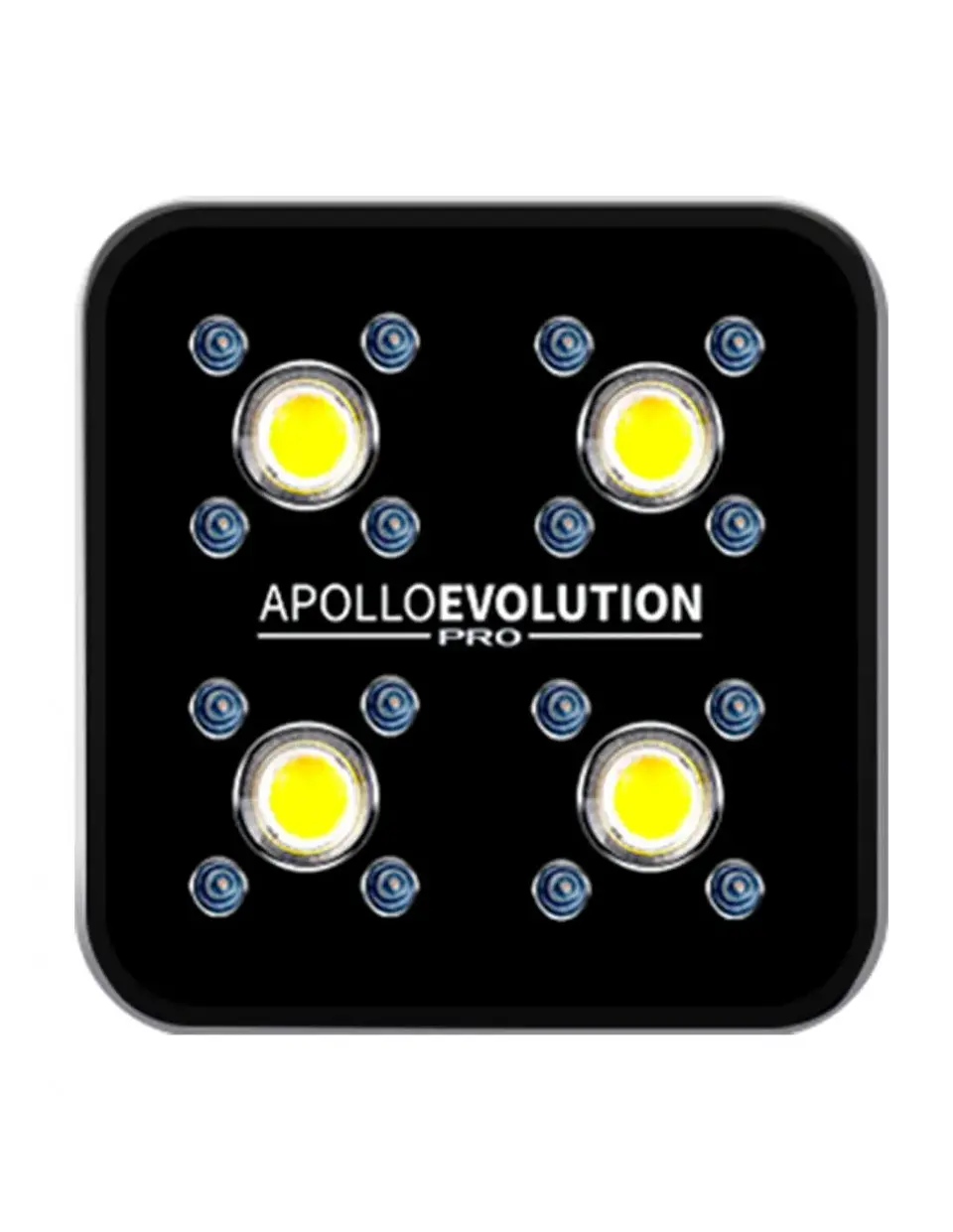Apollo Evolution Pro 4 150W-Delight 1