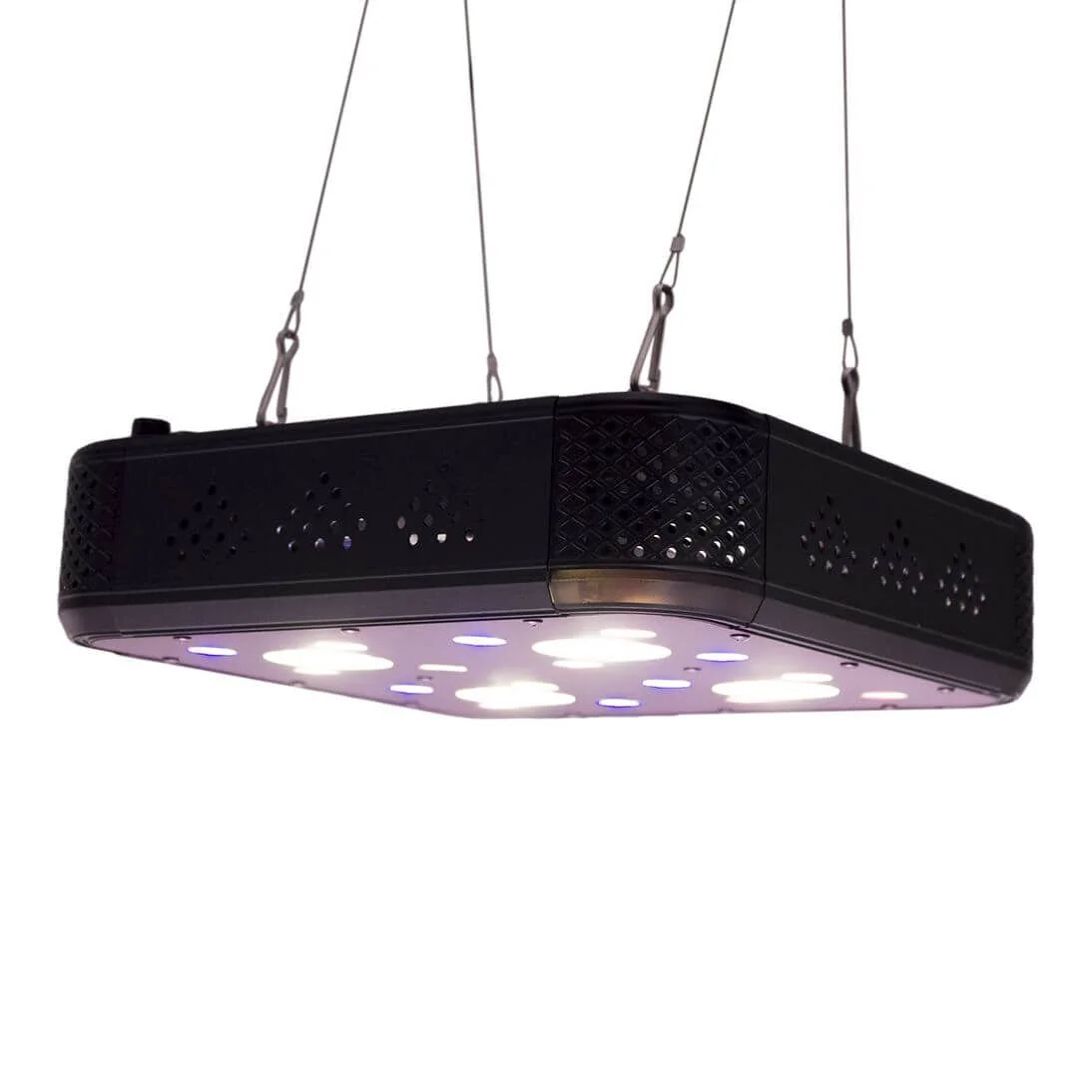 Apollo Evolution Pro 4 150W-Delight 4