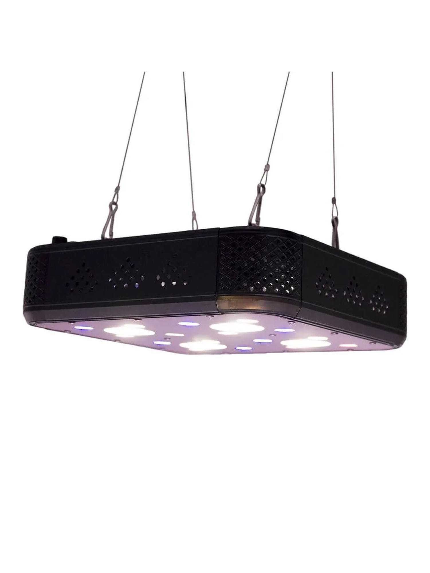 Apollo Evolution Pro 4 150W-Delight 4