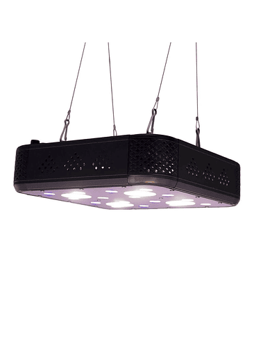 APOLLO EVOLUTION PRO 4 150W-DELIGHT 4