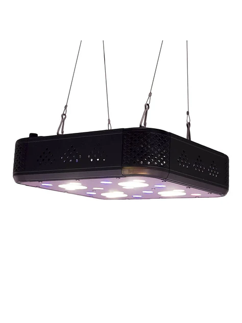 Apollo Evolution Pro 4 150W-Delight 4