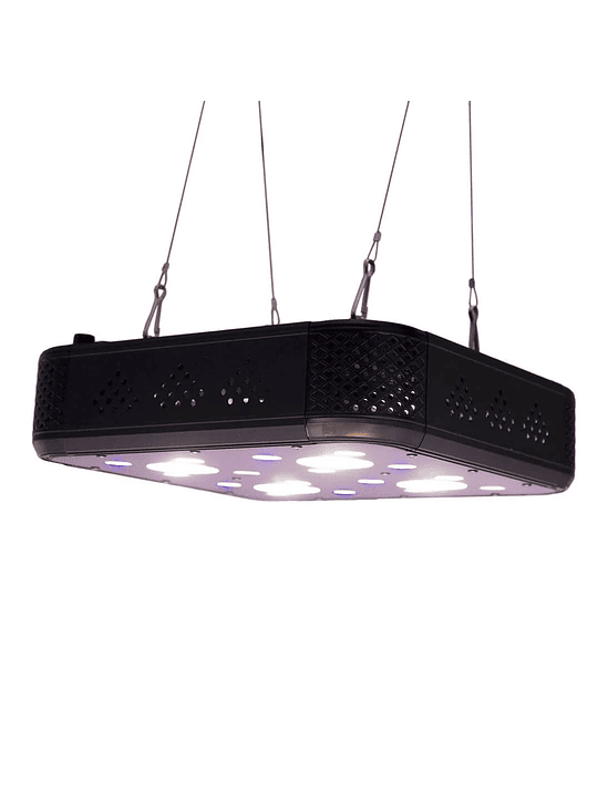 APOLLO EVOLUTION PRO 4 150W-DELIGHT 4