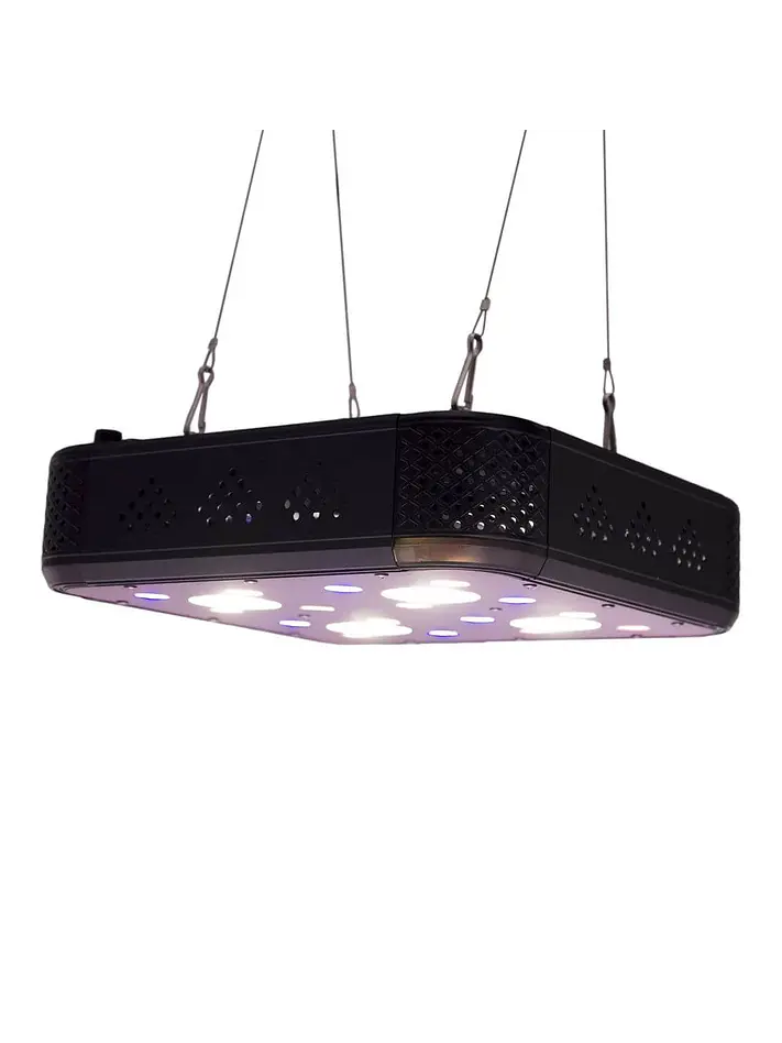 Apollo Evolution Pro 4 150W-Delight 4