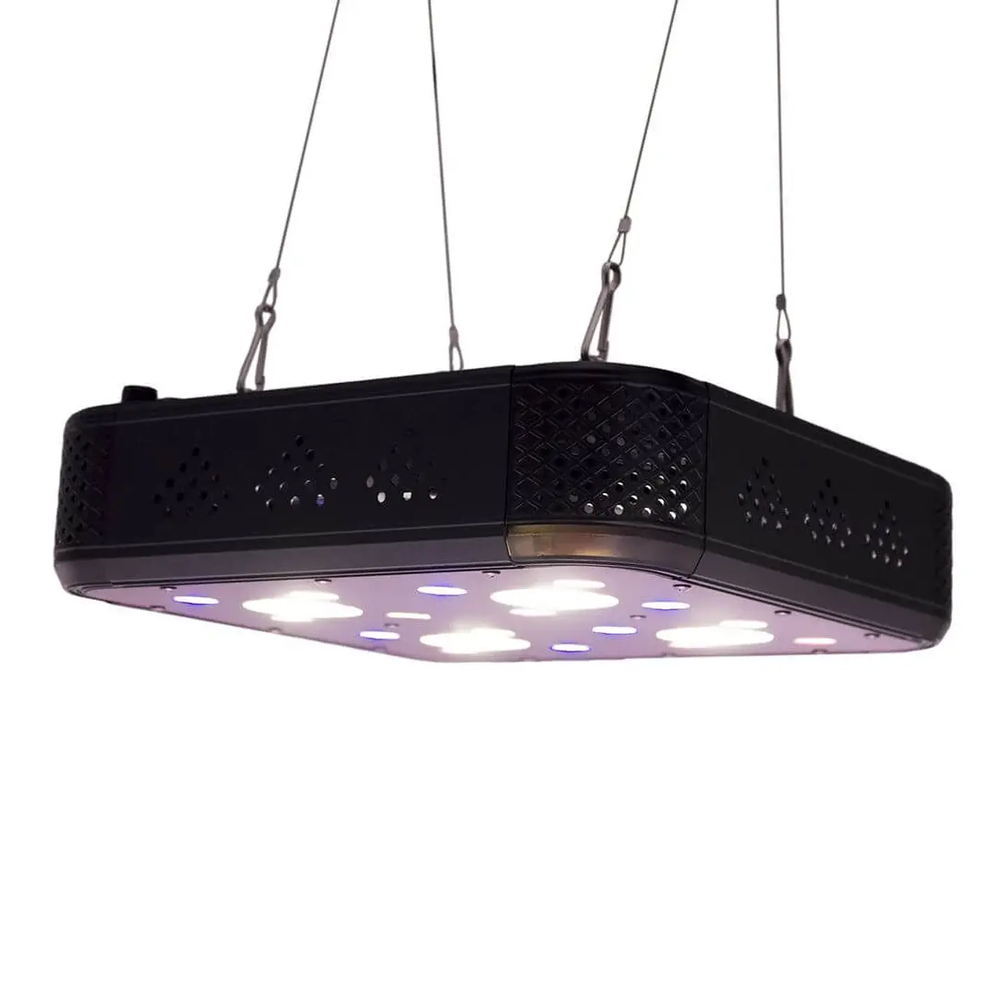 Apollo Evolution Pro 4 150W-Delight 4
