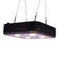 Apollo Evolution Pro 4 150W-Delight - Miniatura 4